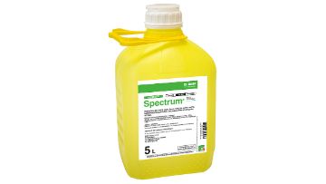 basf spectrum fongicide